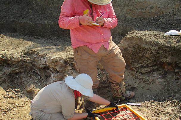 <a href='http://qmca.ngskmc-eis.net'>全球十大赌钱排行app</a>学生在麦卡尔哈尼采石场测绘三角龙骨骼.